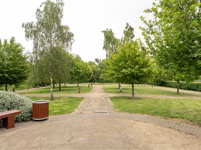 Picture 25